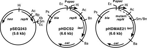 FIG. 1.