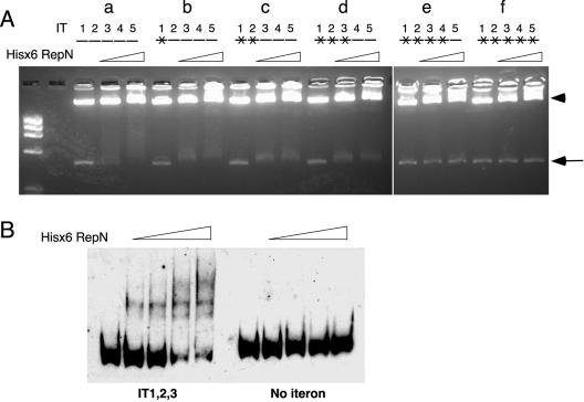 FIG. 7.