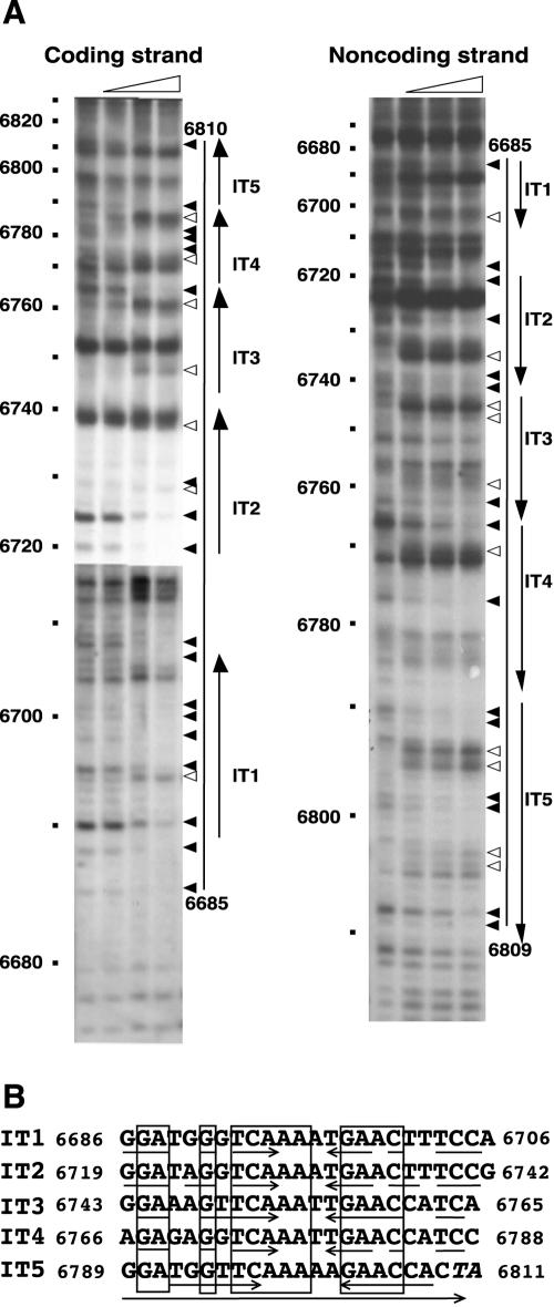 FIG. 5.