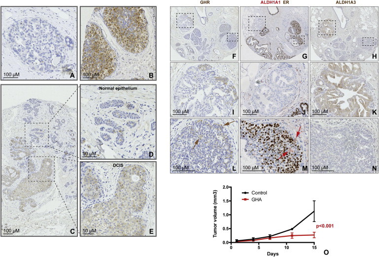 Figure 6