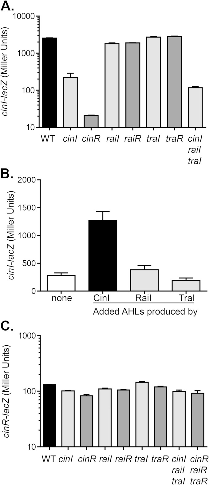 FIG 3