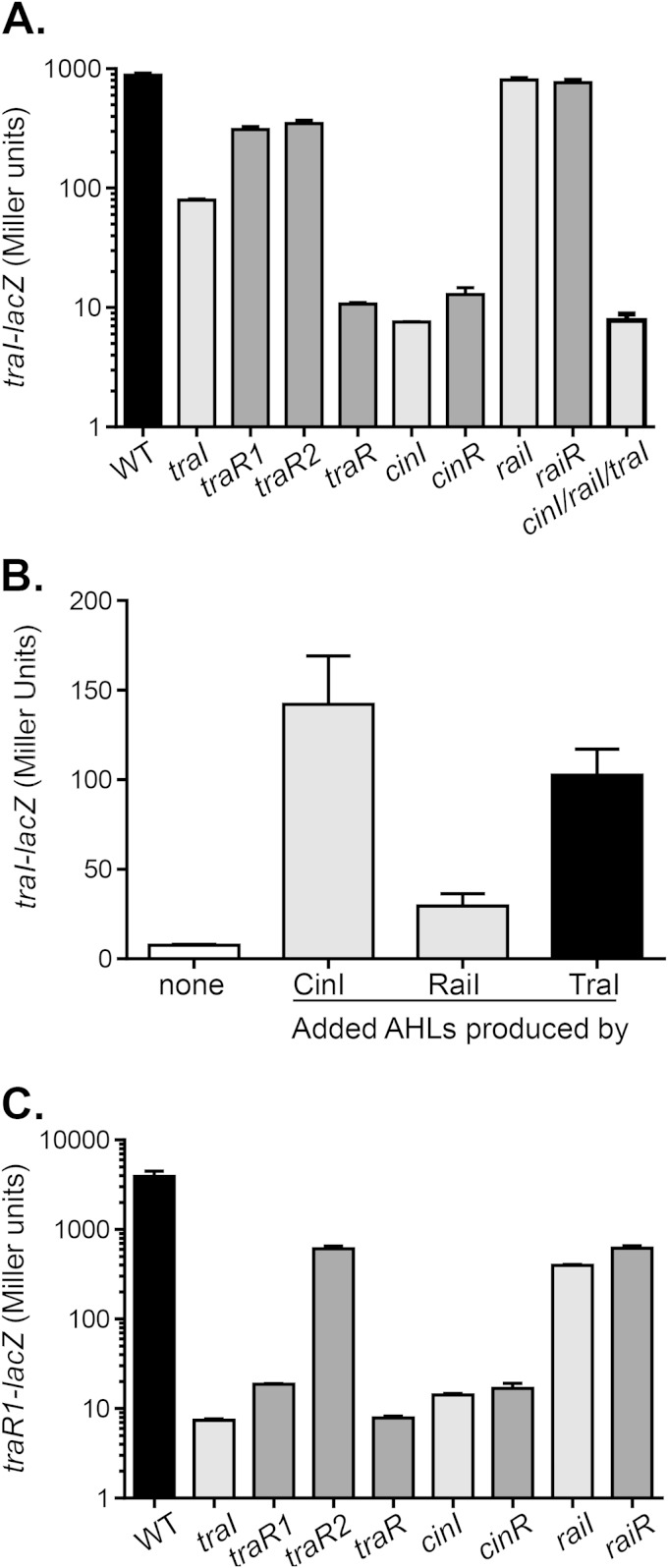 FIG 6