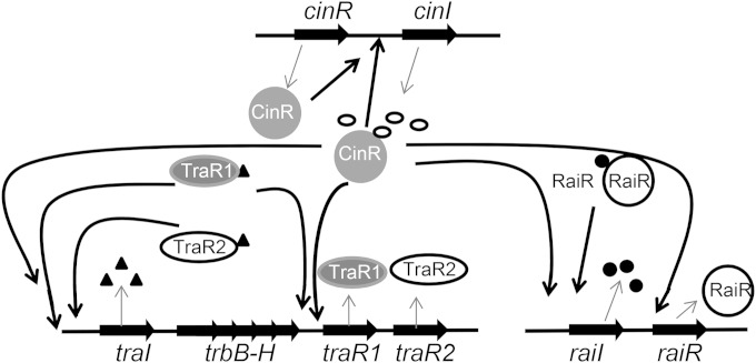 FIG 7