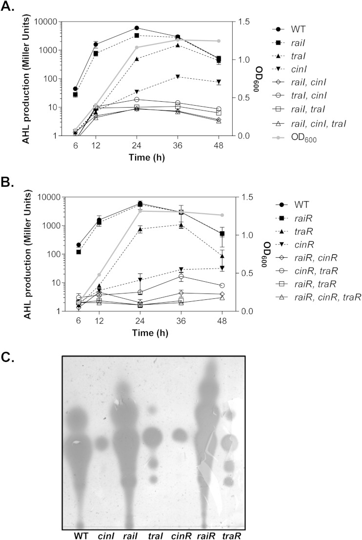 FIG 2