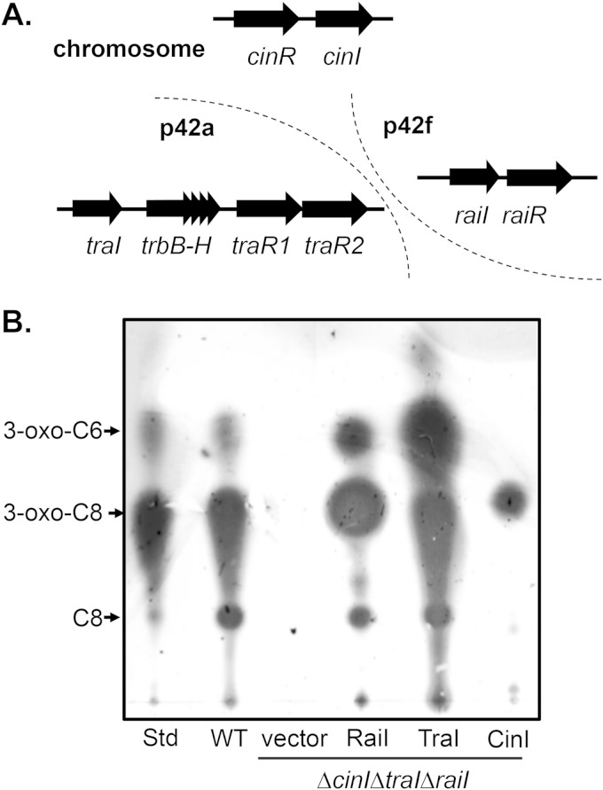 FIG 1