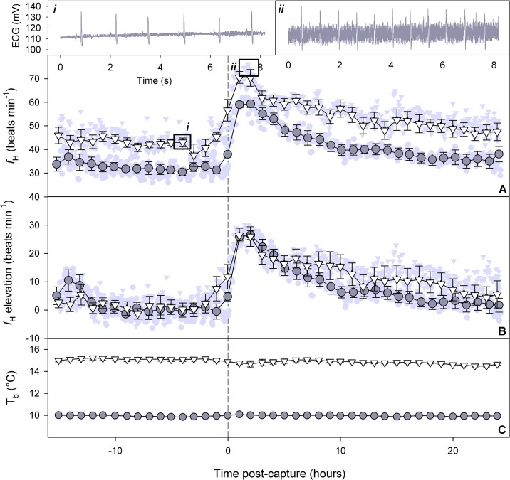 Fig 5