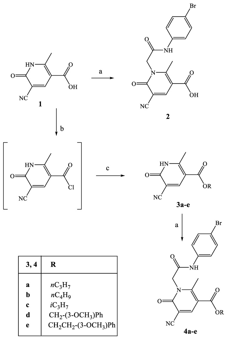 Scheme 1