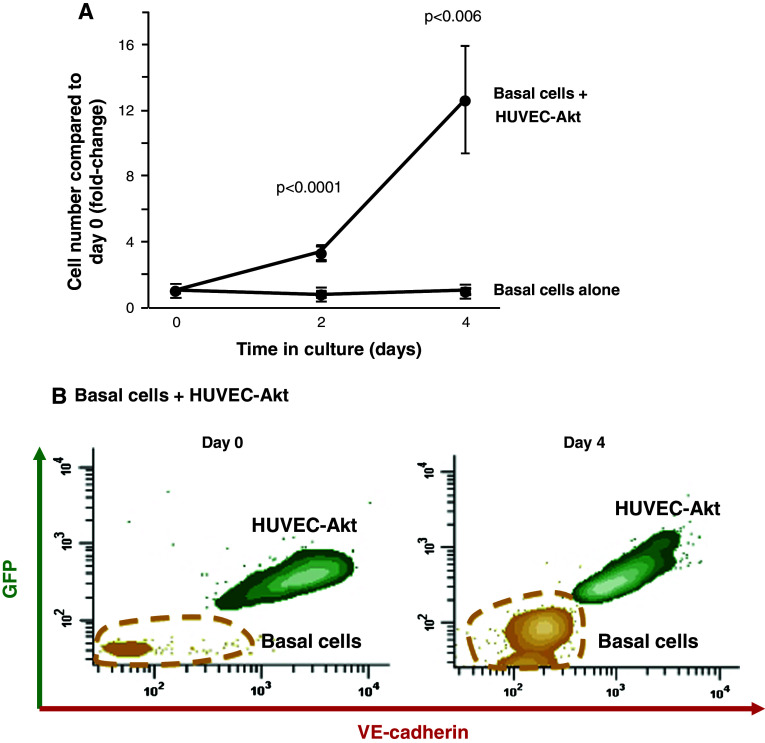 Fig. 7