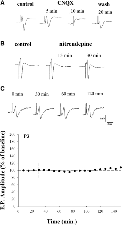 FIG. 1.