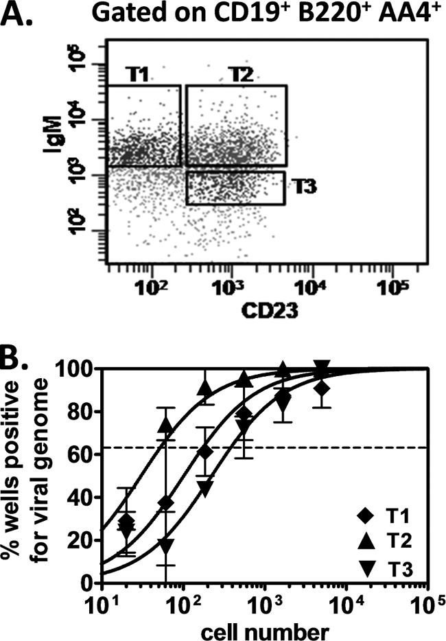 FIG. 5.