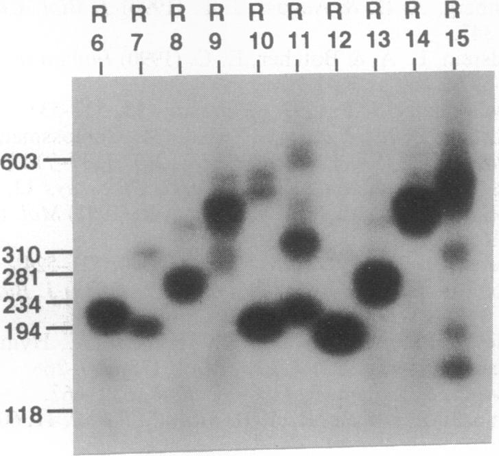 graphic file with name pnas01098-0524-a.jpg