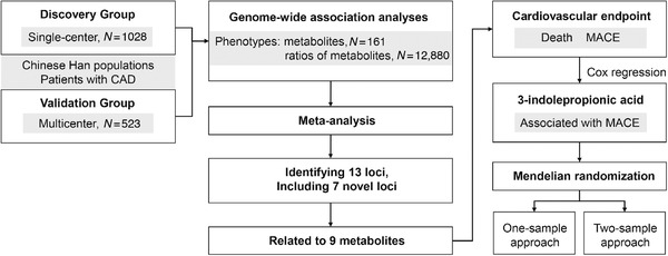 FIGURE 1