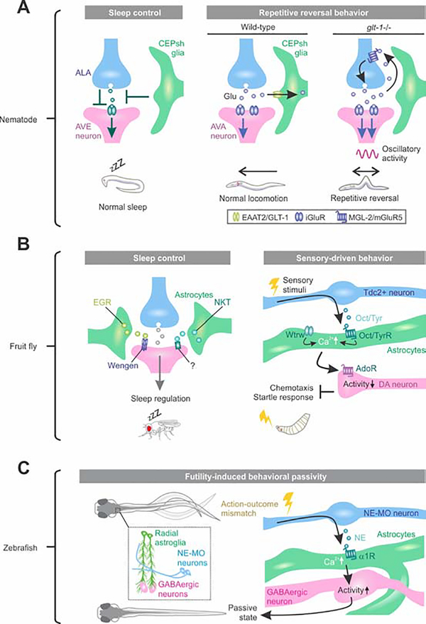 Figure 2: