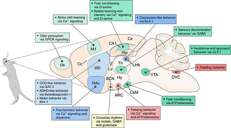 Figure 3.