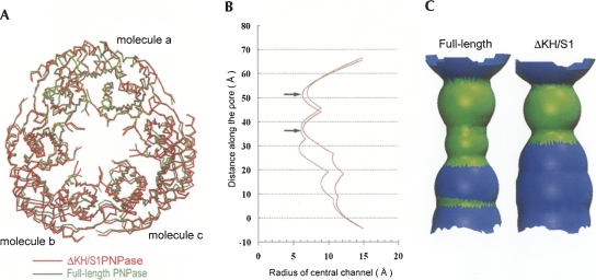 FIGURE 4.