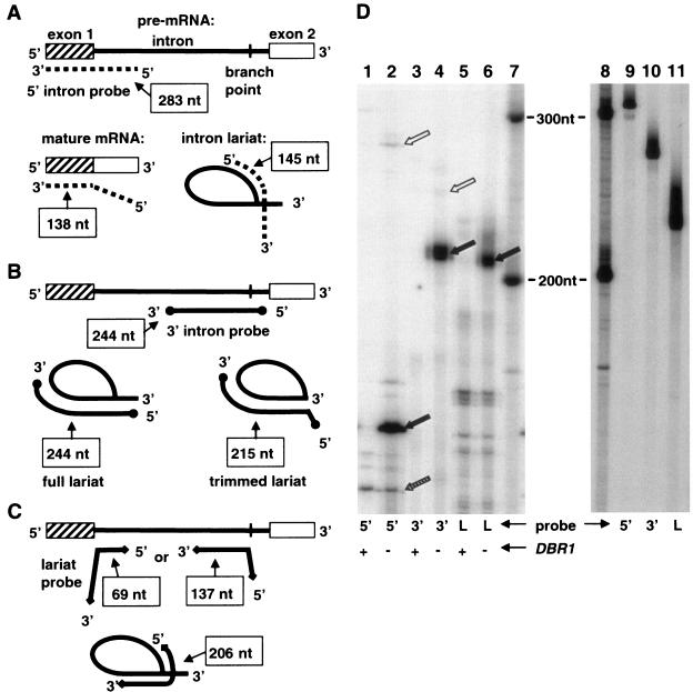 FIG. 5.