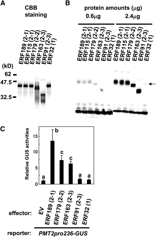 Figure 9.