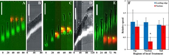 FIGURE 2: