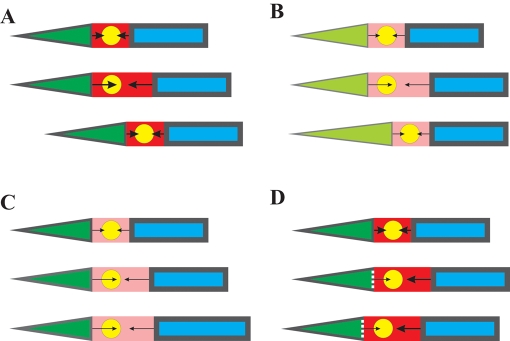 FIGURE 5: