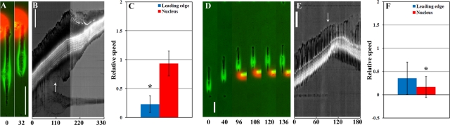 FIGURE 3: