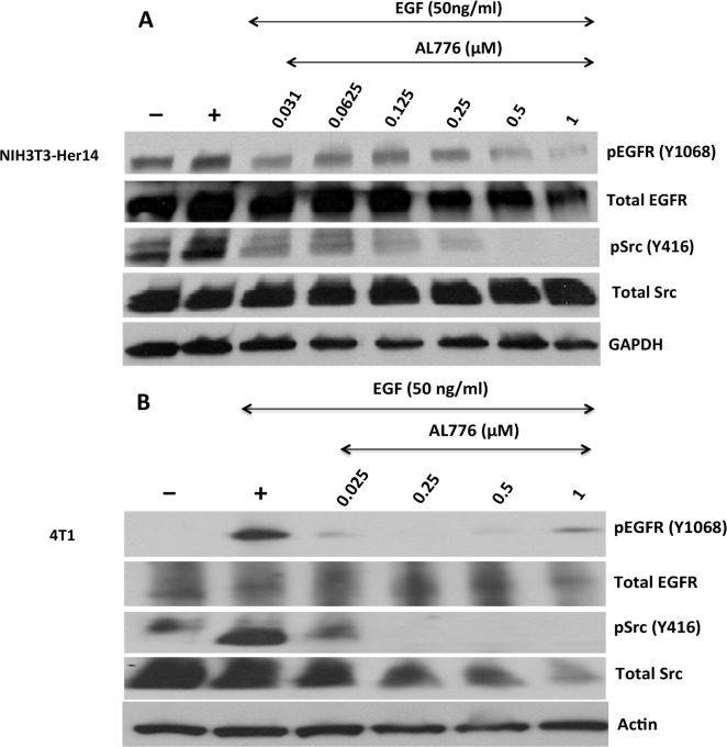 Fig 7