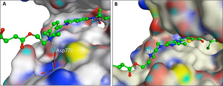 Fig 6