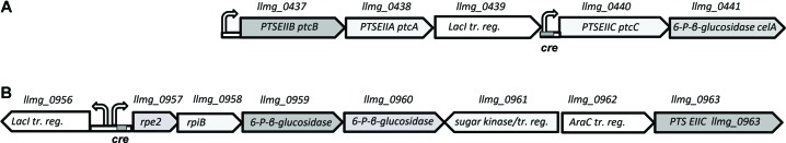 FIGURE 3