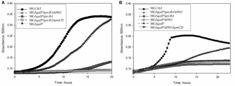 FIGURE 2