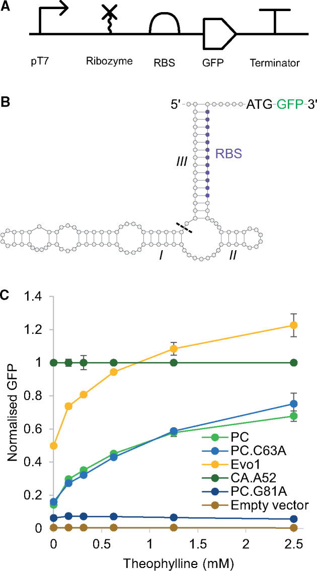 Figure 5.