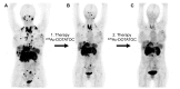 Fig. (4)