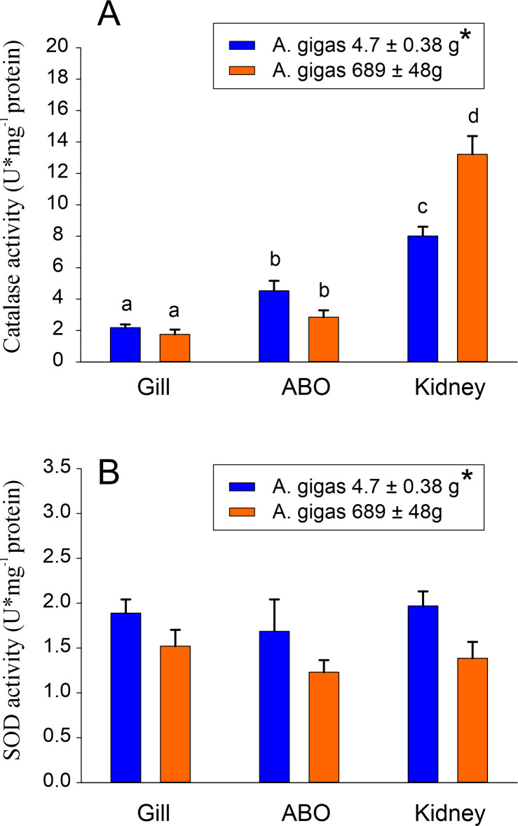 Fig 5