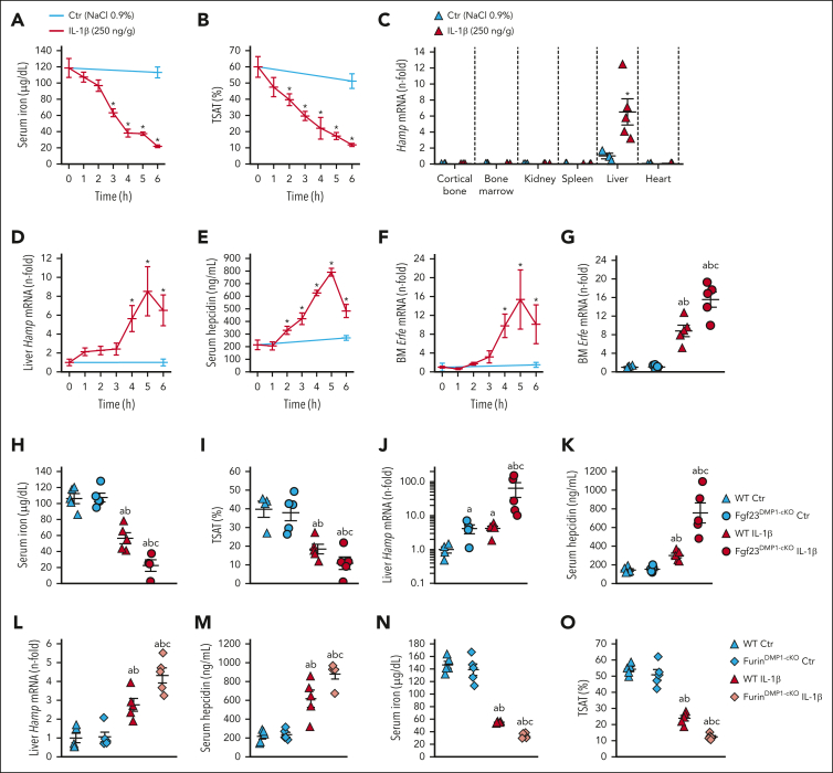 Figure 4.