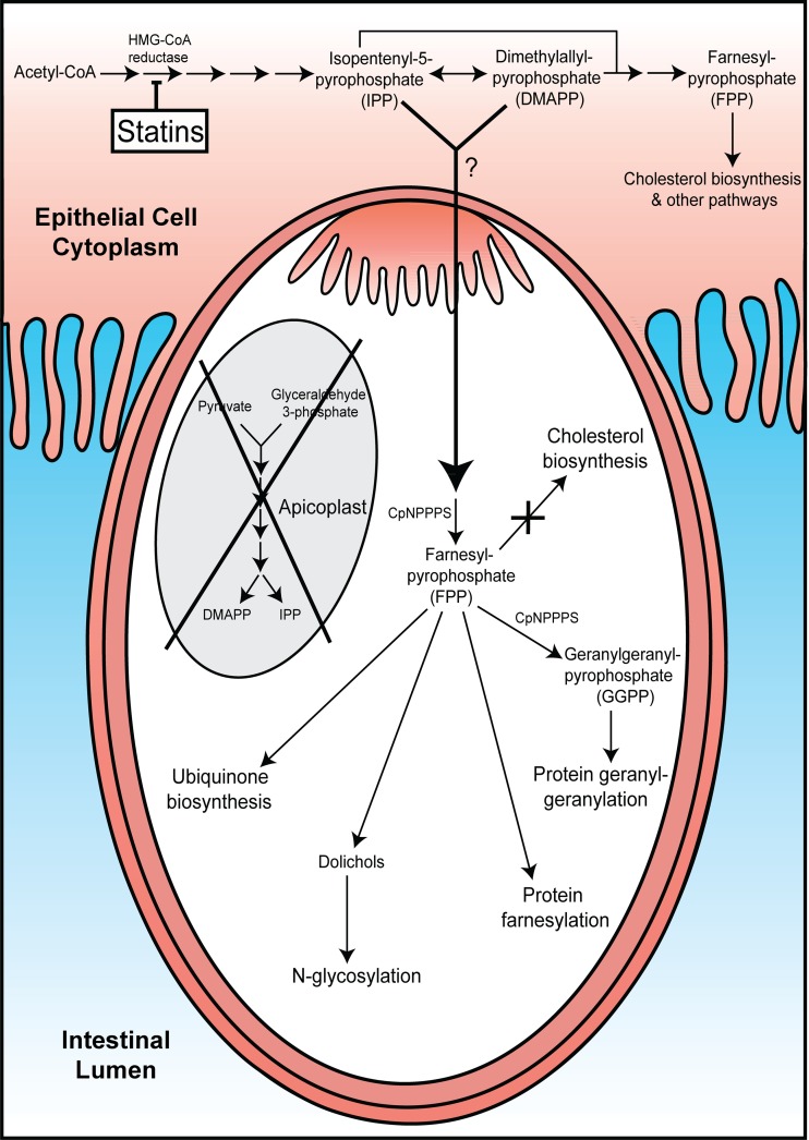 Fig 5