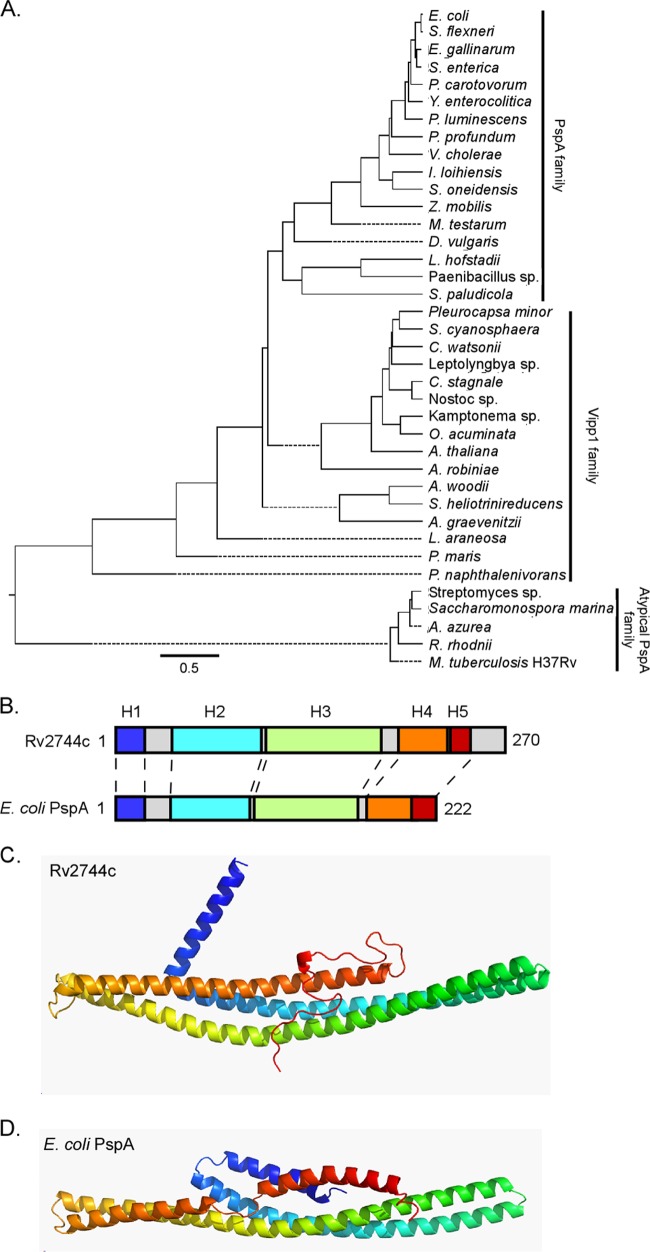 FIG 1