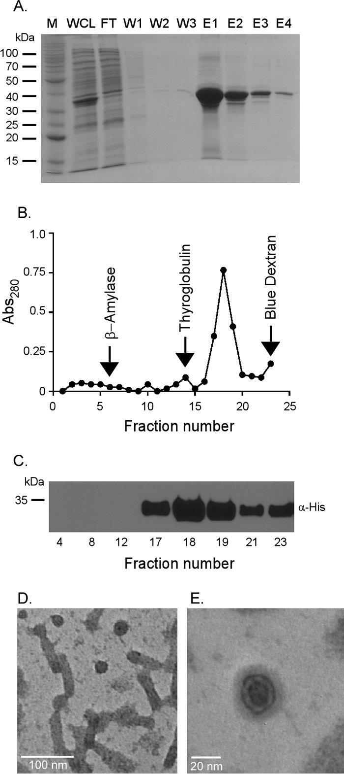 FIG 2