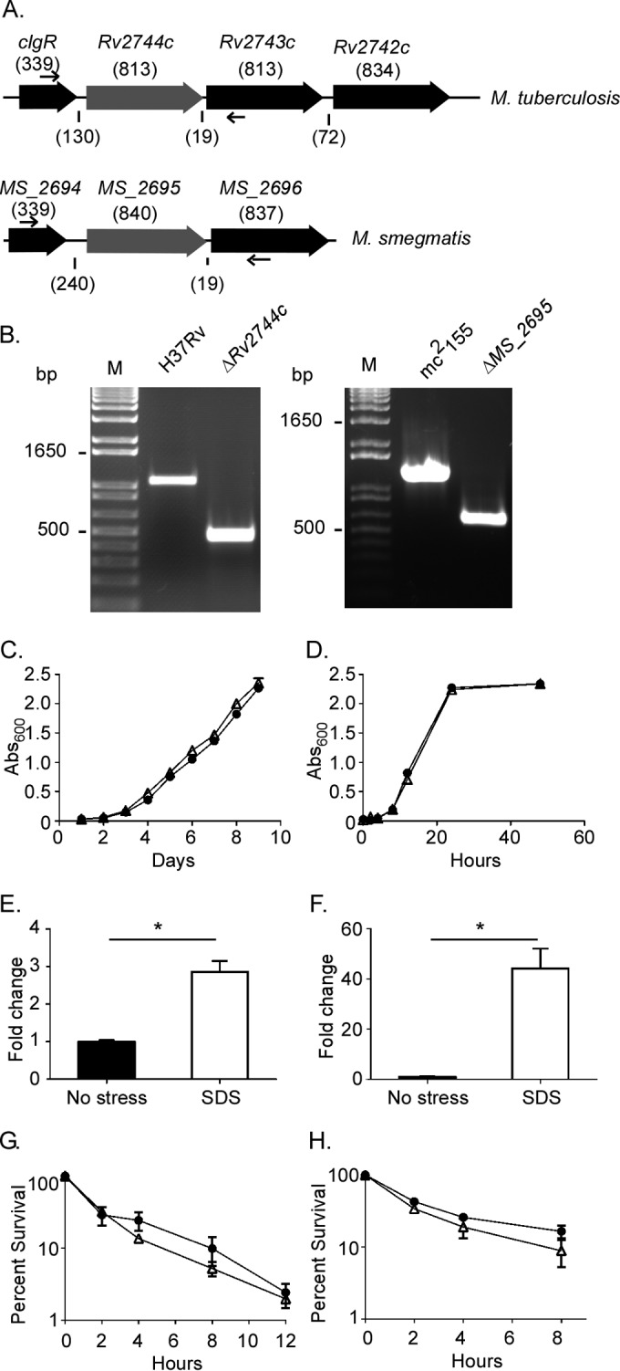 FIG 3