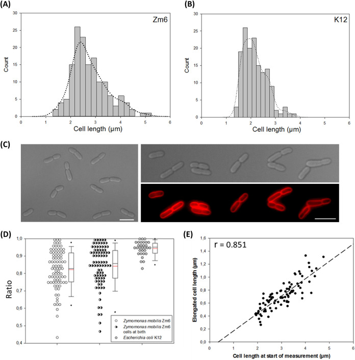 FIG 1