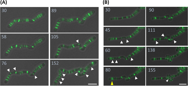 FIG 4