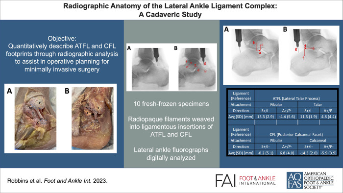 Graphical abstract