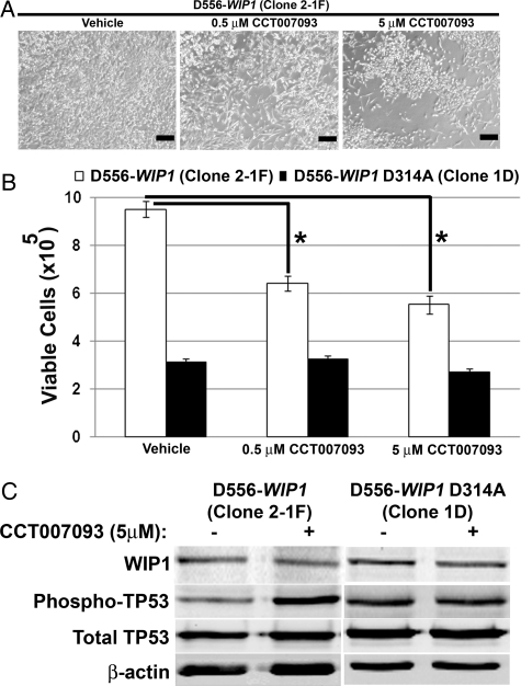 Fig. 8.