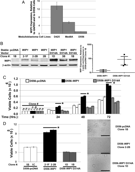 Fig. 2.