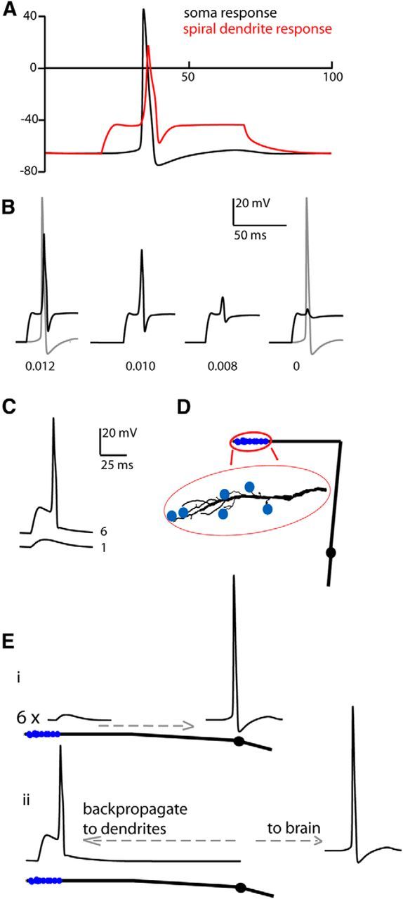 Figure 5.