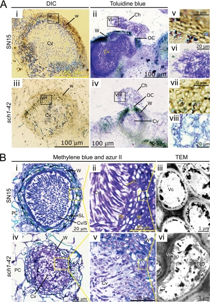 FIG. 7.