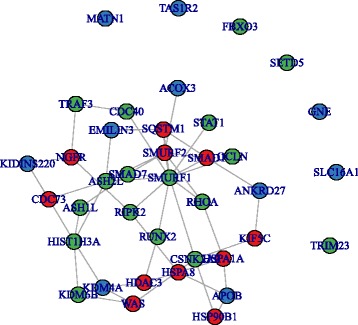 Fig. 3