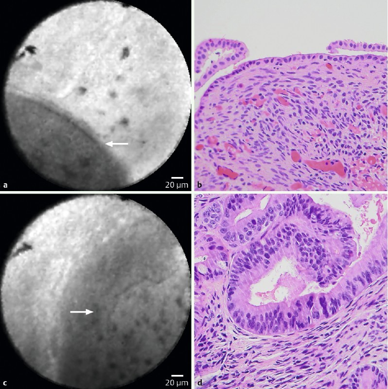 Fig. 3