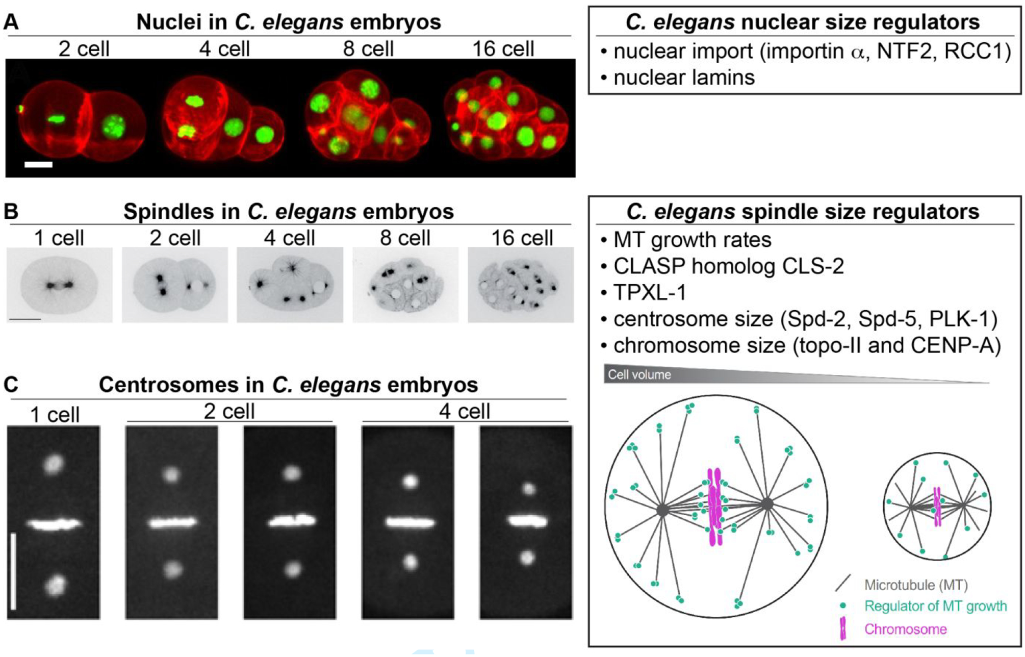 Figure 3: