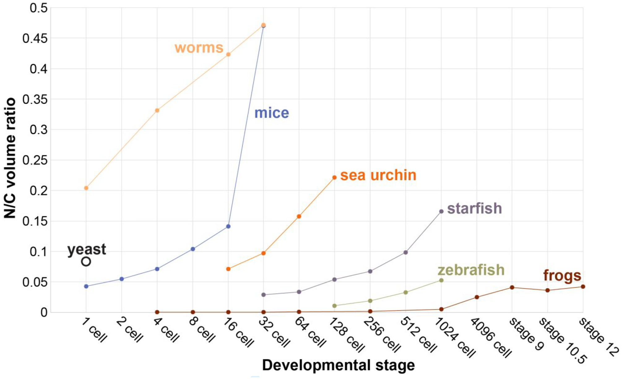 Figure 5: