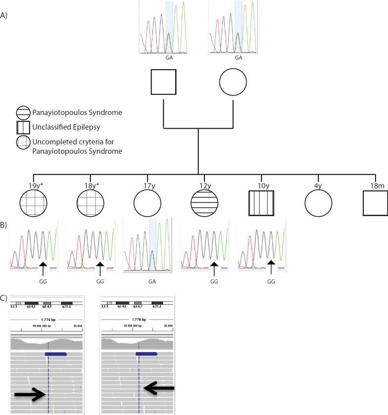 Fig. 1