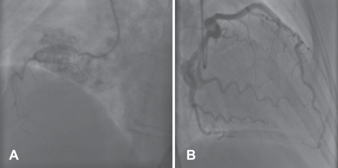 Figure 2)