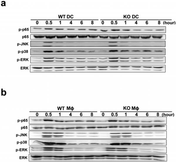 Extended Data Figure 5